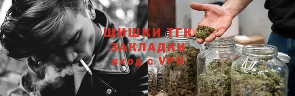 таблы Бородино