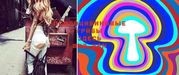 таблы Бородино