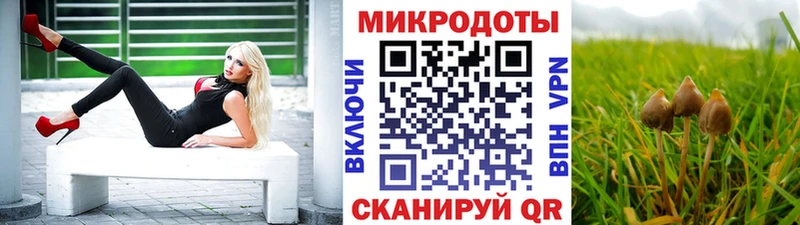 Галлюциногенные грибы GOLDEN TEACHER  Гороховец 